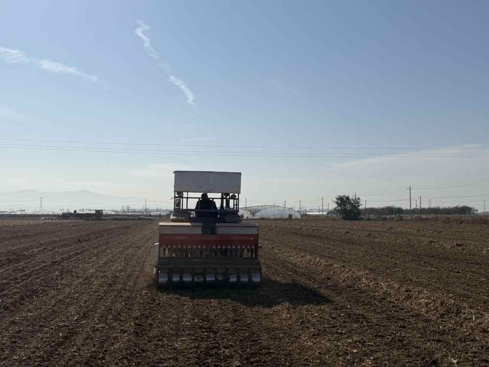 今年冬天不放松，来年可期丰收——多地冬种和