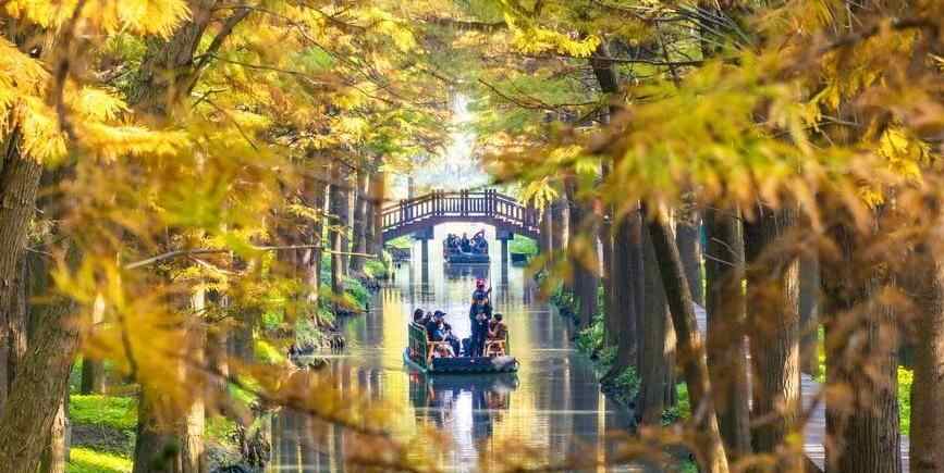  湿地公园冬景如画