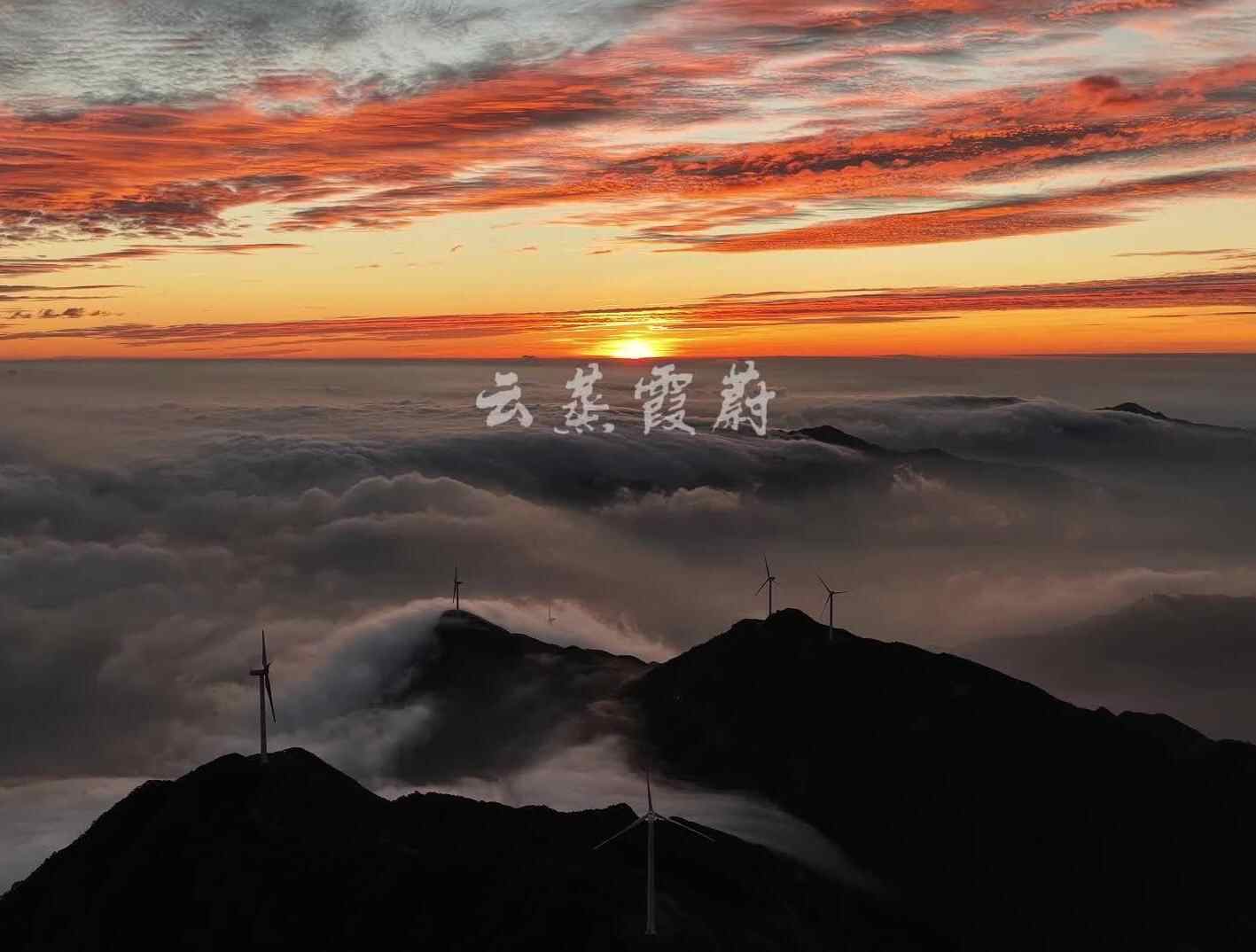  云蒸霞蔚，邂逅云端守望者｜岭南行记