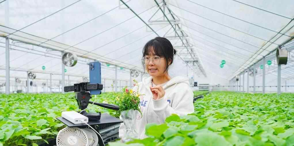  重庆：智慧工厂育苗忙