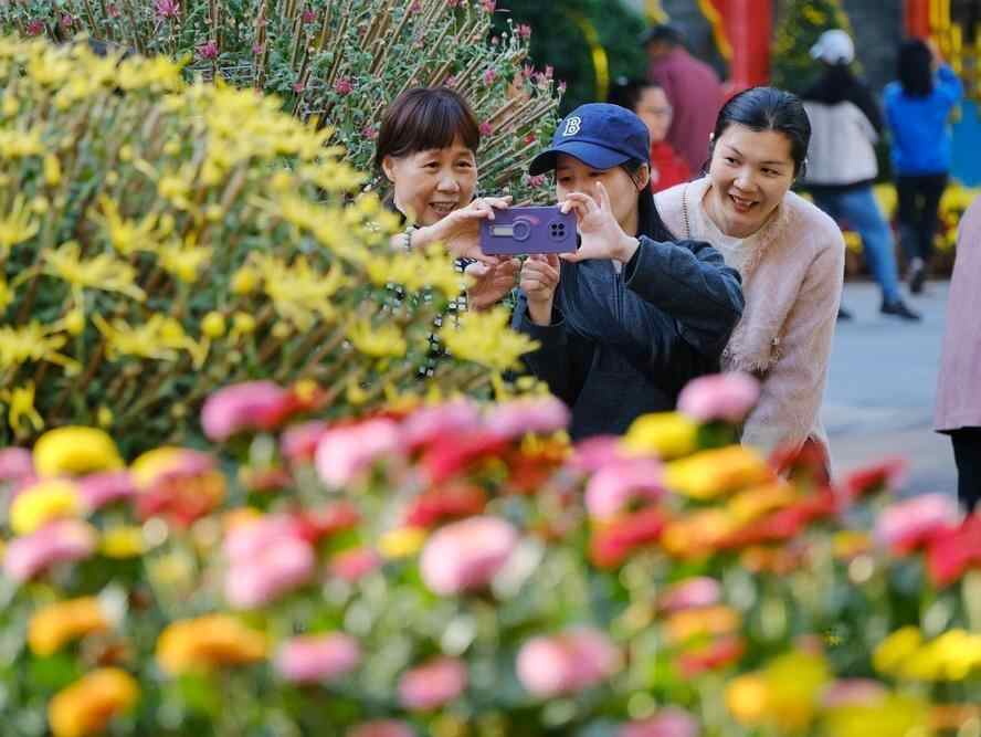  羊城冬日繁花盛，街头“衣乱穿”