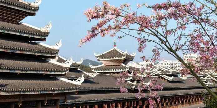  广西三江侗乡：花映廊桥美如画