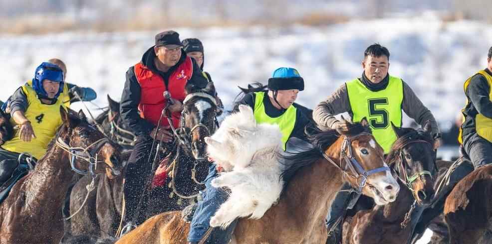  新疆吉木萨尔：雪地叼羊比赛精彩纷呈