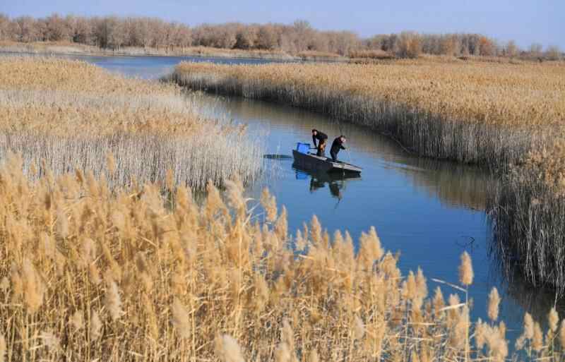 边境关闭一周年|从“死亡之海”到“财富绿洲”