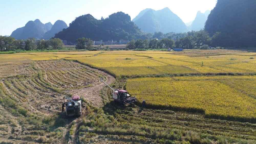 深入贯彻落实党的四中全会精神·引领市场