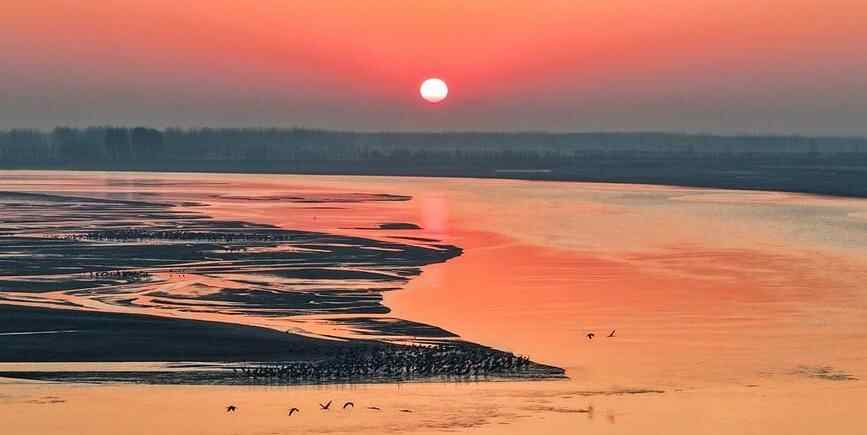  鹤舞黄河岸 生态入画来