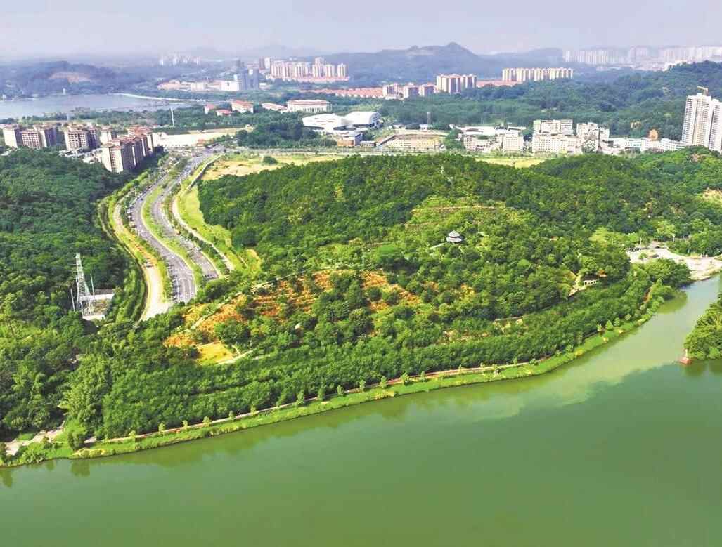 从“林勘一线”到“国家荣誉” 广东团队的绿美攀登