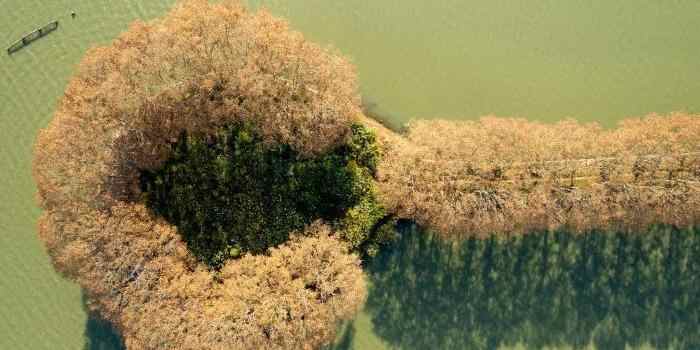  航拍武汉东湖“金汤勺”