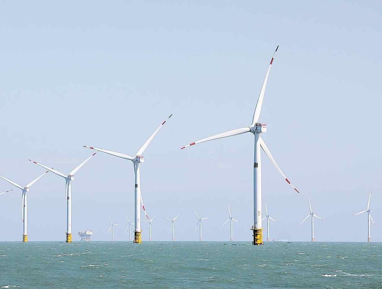 风起汕头吹向世界 汕头国际风电技术创新大会举办