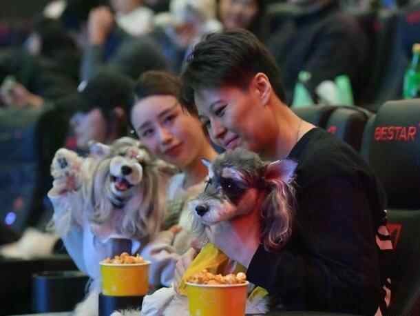  吉林长春：影院推出“宠物陪伴观影”获市民青睐