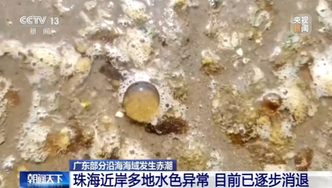 别碰它！广东这些地方出现了