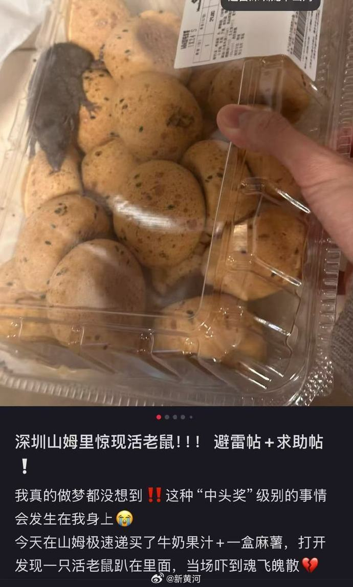 Sam回应“麻糬盒里发现老鼠”：立即对链接进行全面验证，未发现异常；初步判