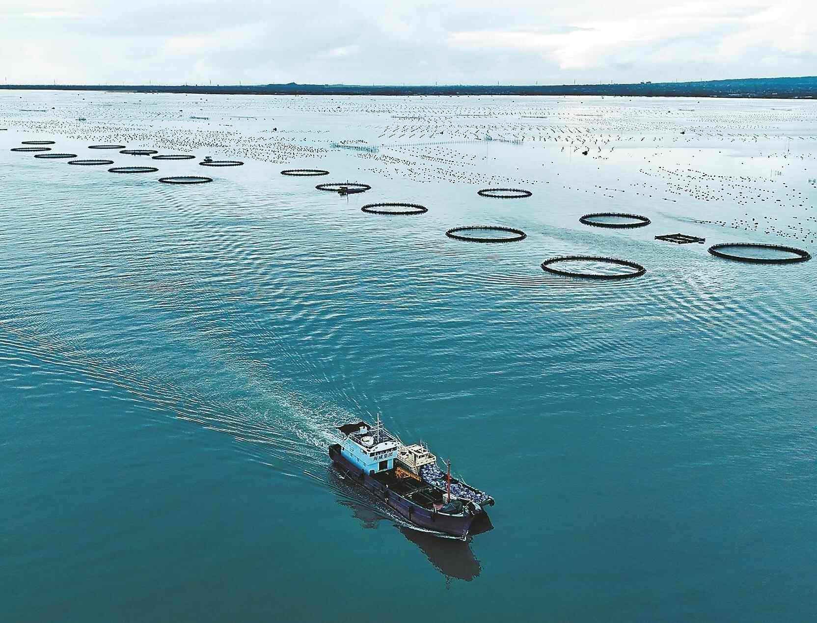  海洋渔业“六边形战士”出列 广东渔业何以拿下N个全国冠军？