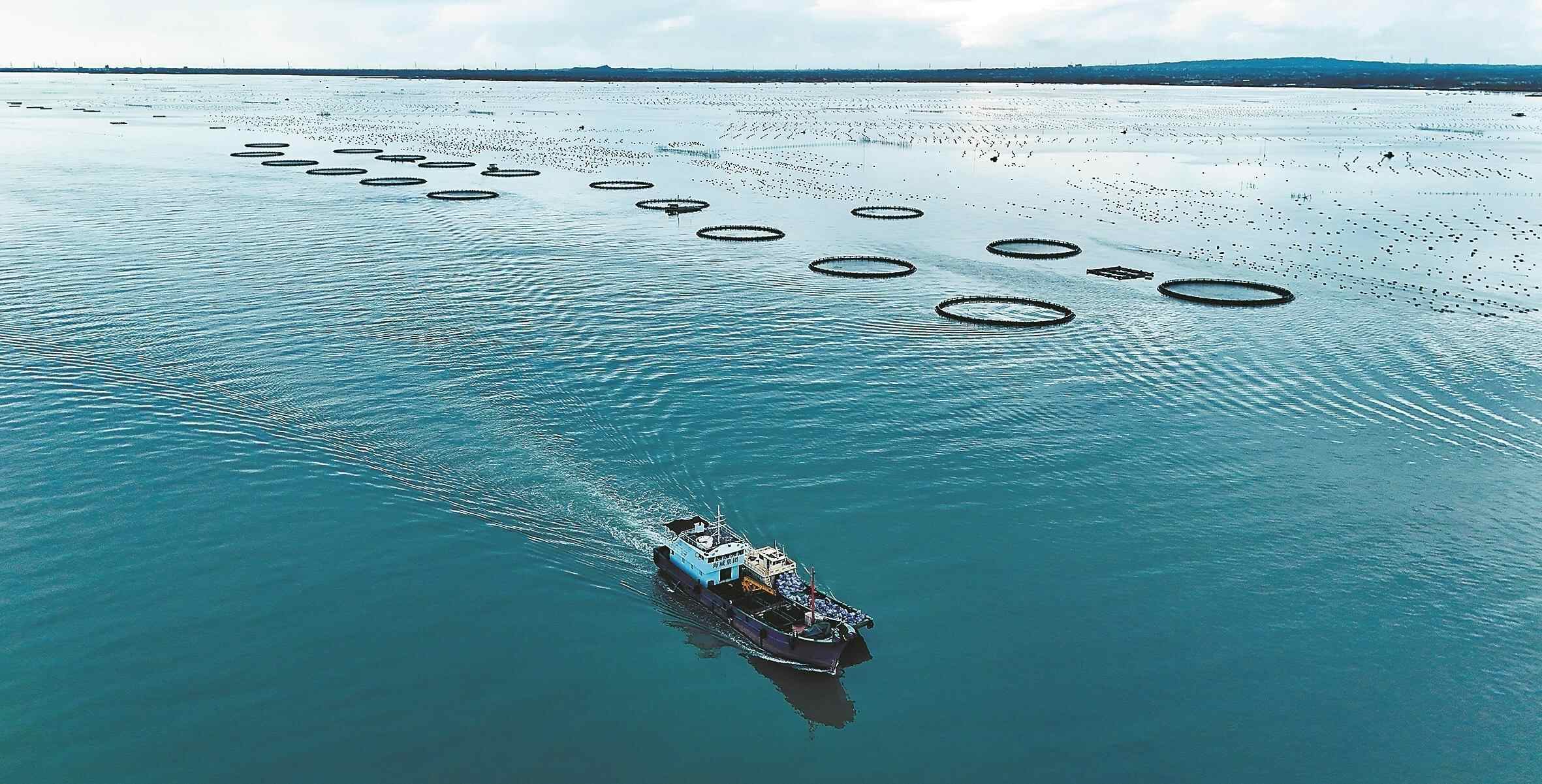 海洋渔业“六边形战士”出列 广东渔业何以拿下N个全国冠军?