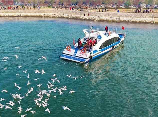 河南淅川：“看海”赏鸥正当时