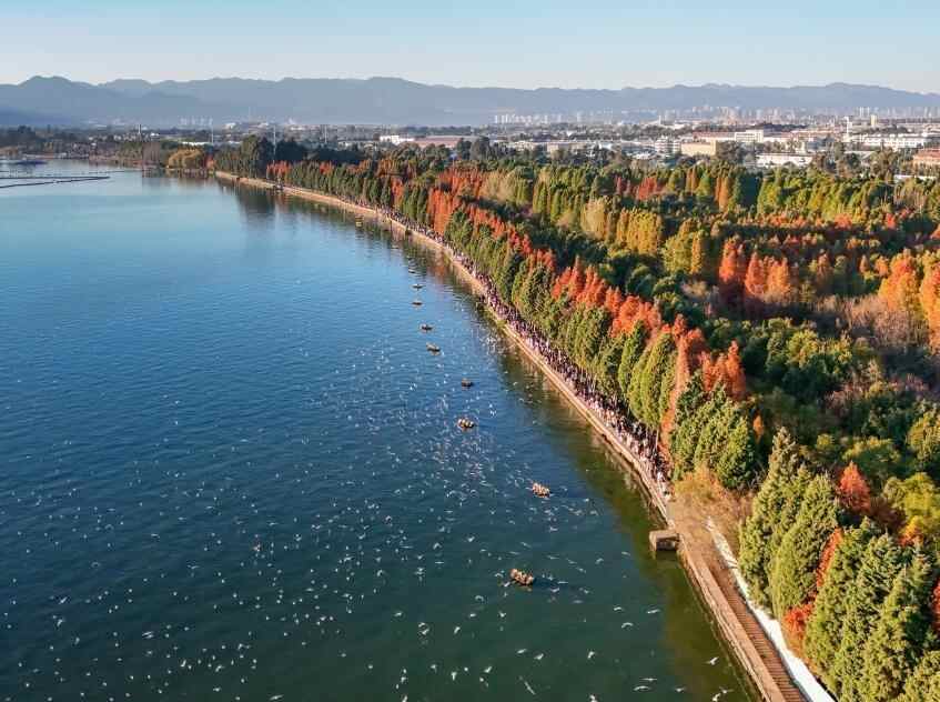  滇池：美景如画引客来