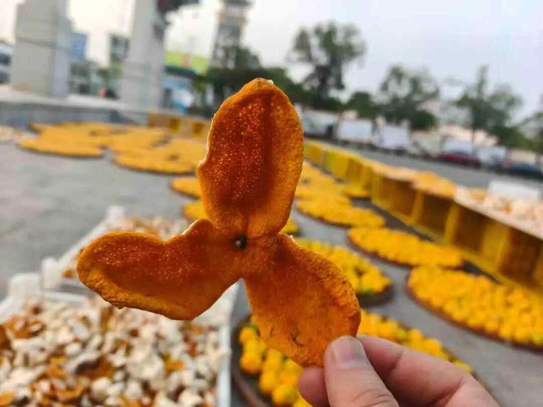 央视曝光陈皮造假黑幕！新会茶枝柑种植户发声，两地执法连夜亮剑-上淘有品虚拟资源下载