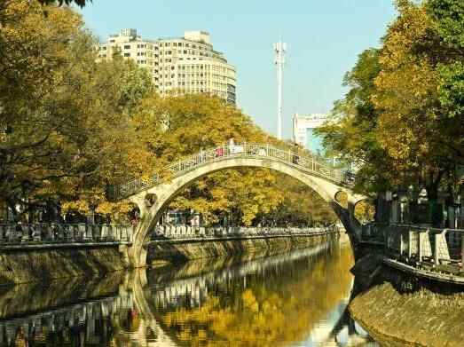  昆明大观河畔滇朴鎏金绘就冬日惬意图景