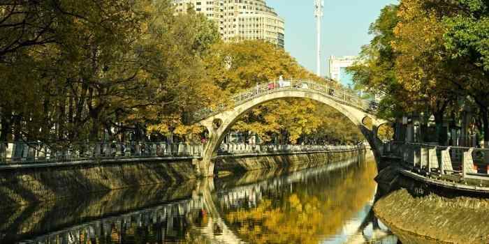  昆明大观河畔滇朴鎏金绘就冬日惬意图景