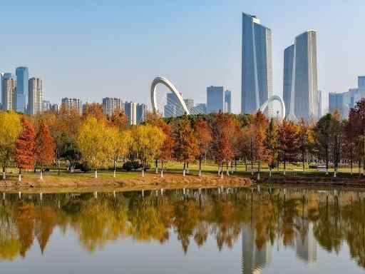  南京江心洲自然肌理邂逅城市 “绘就”冬日生态图景