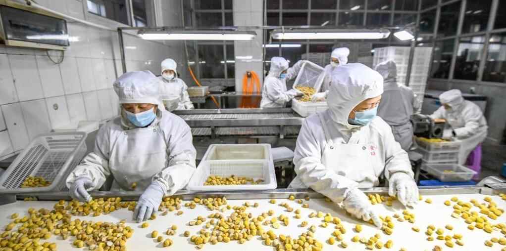  赶制订单生产忙