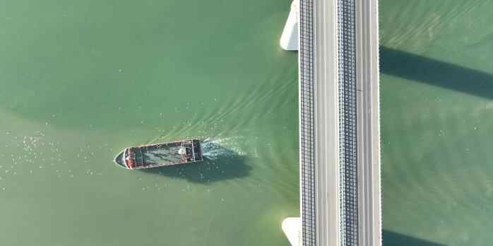  河南三门峡：黄河游轮吸引红嘴鸥