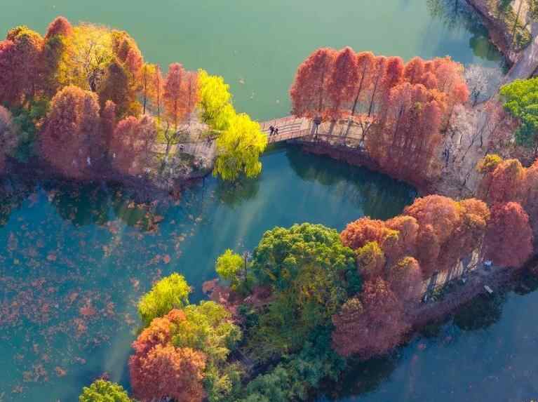 缤纷冬日景如画