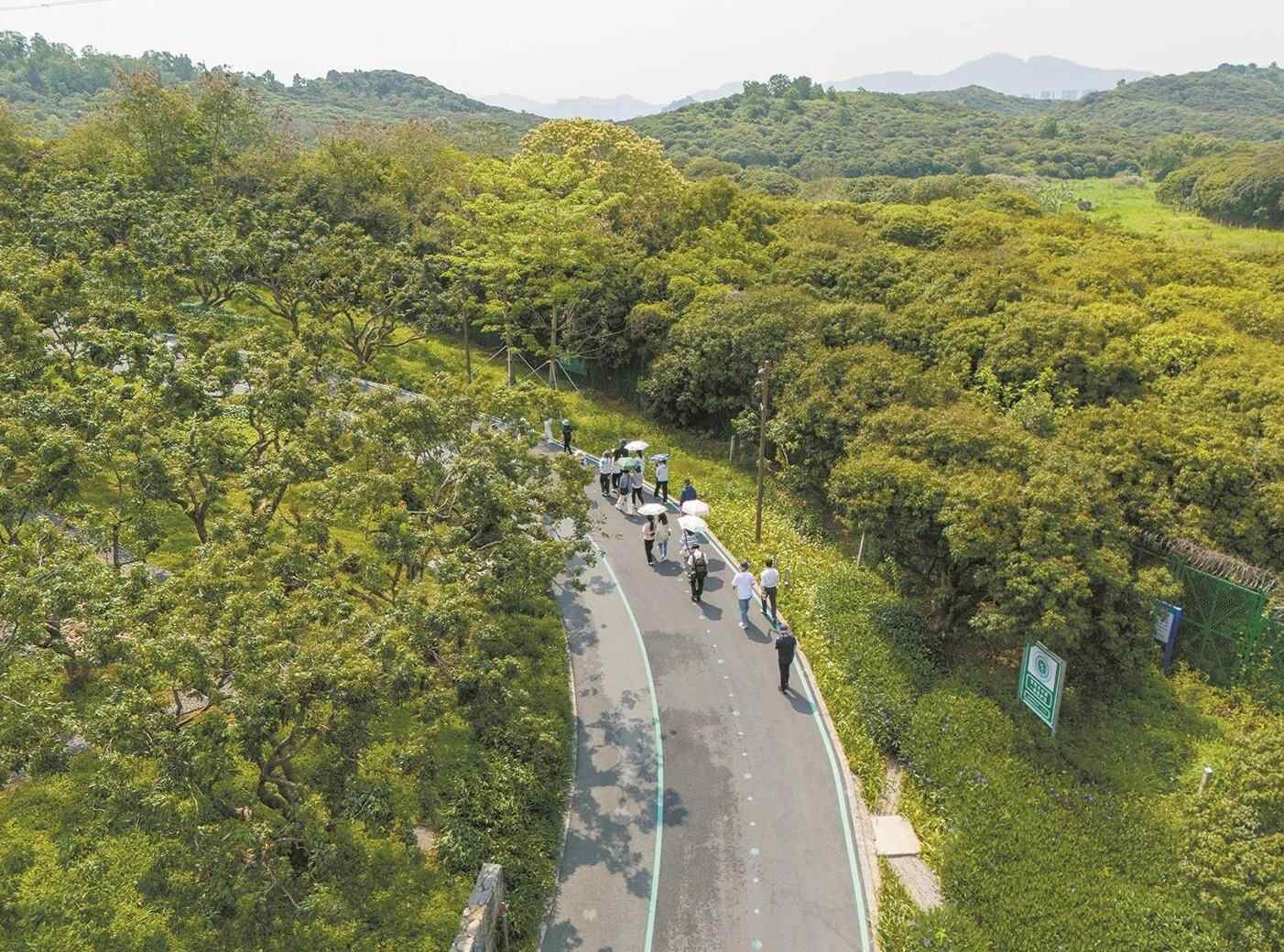  全域文旅让“诗与远方”推窗可见