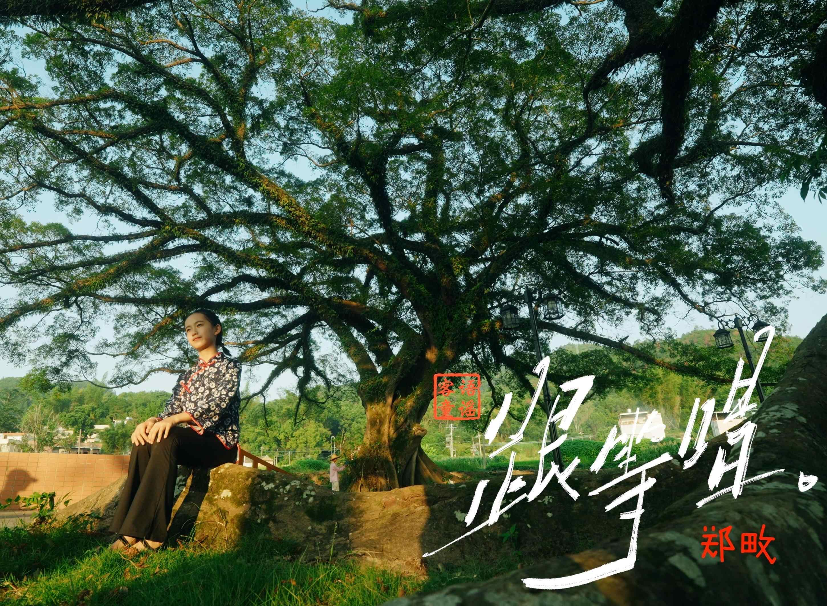  【视频】乡音袅袅飘过古榕与老校 客语童谣《跟等唱》在龙川唱响童年记忆