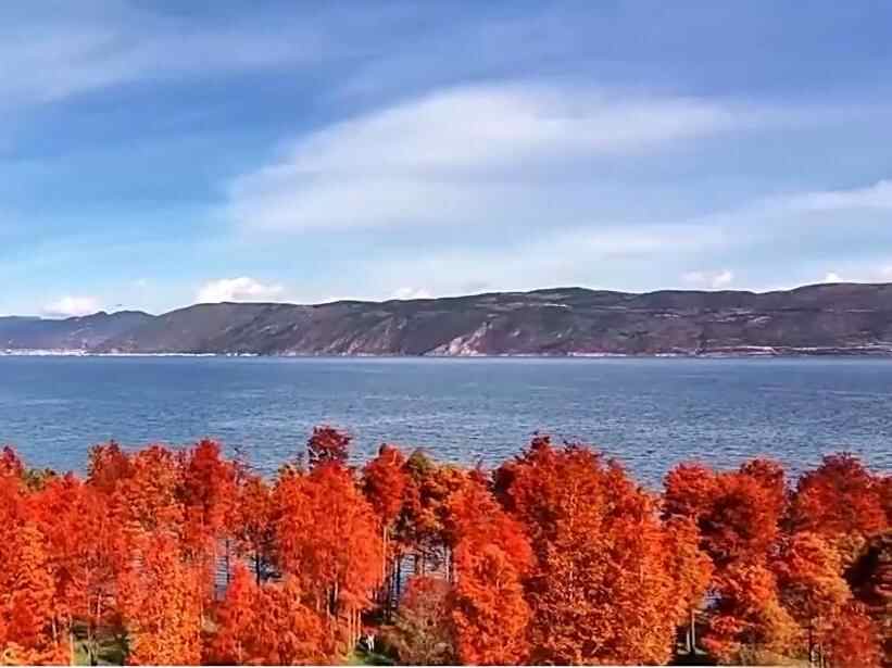  文化中国行丨二十四节气·冬至 冬至大如年 人间小团圆