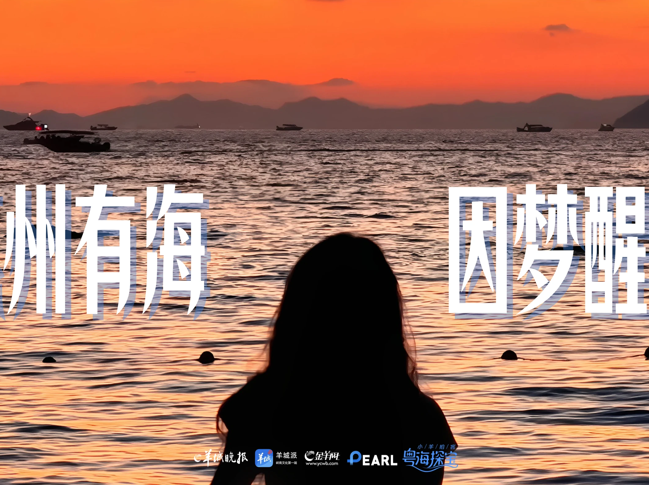 一位江西姑娘的“岛主”梦，唤醒惠州一片海｜小羊拍客