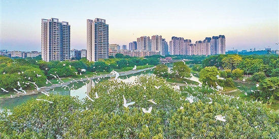  让城里的月光照亮乡村振兴梦：广州花都绘就“百千万工程”新画卷