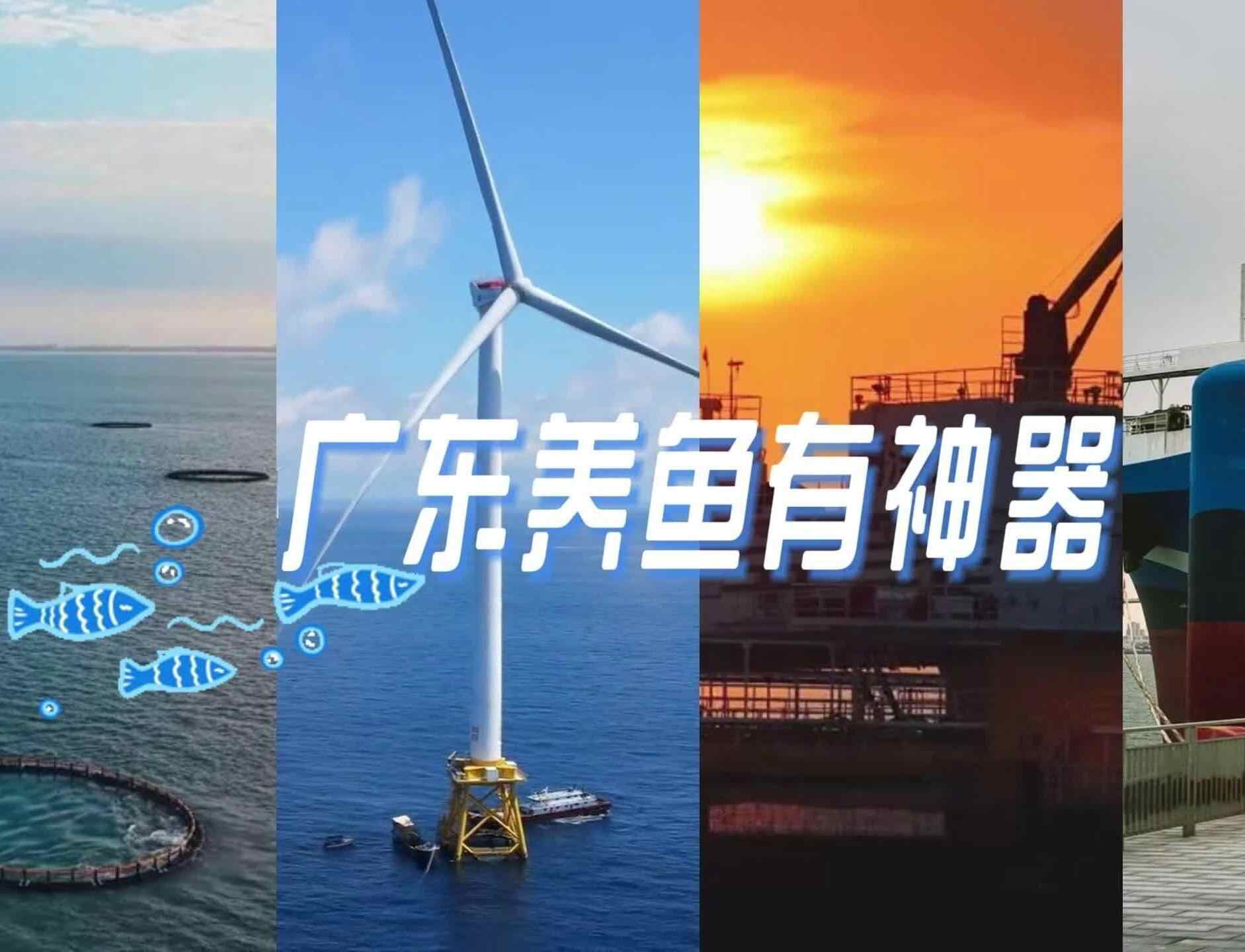  广东养鱼有神器！它们如何智能升级挺进深海？