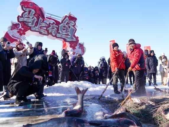  2025黑龙江“冷水鱼·冬捕季”系列活动启幕