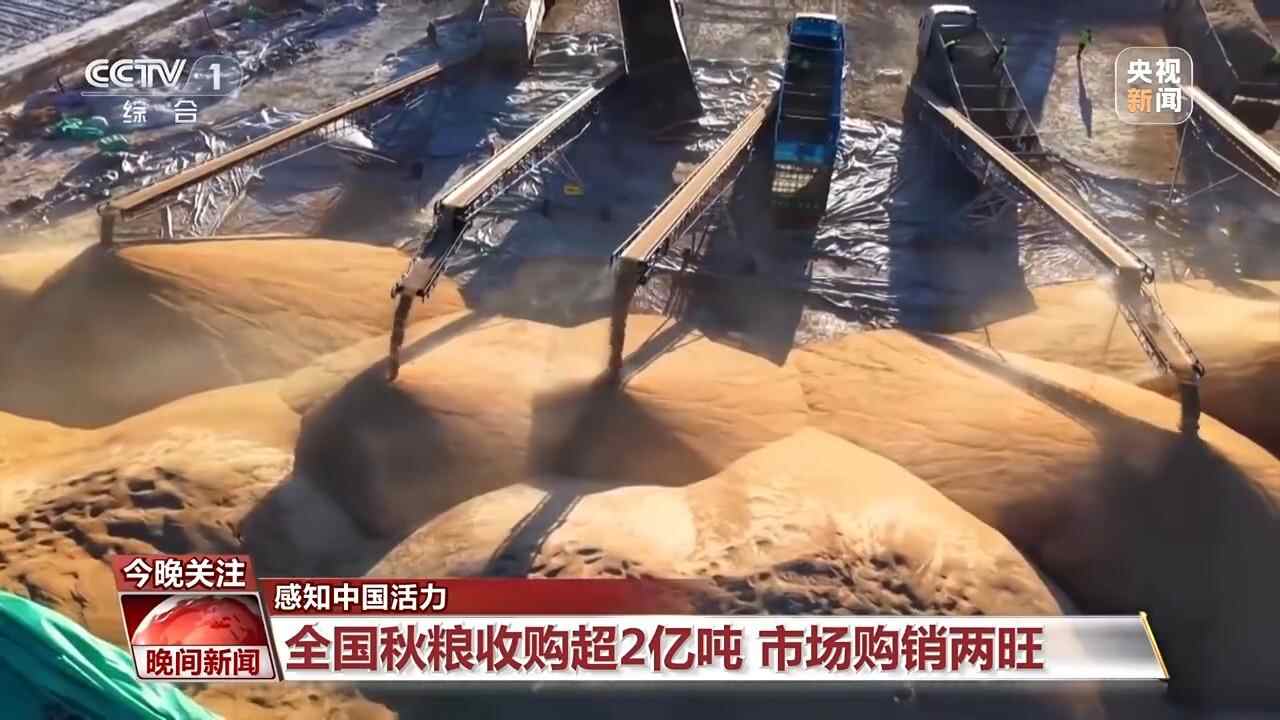 秋粮购销两旺，“云电站”启动。一组数据感受