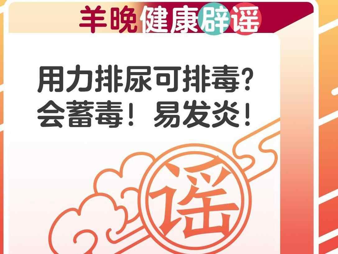 用力排尿可排毒？专家：会蓄毒！易发炎！|羊晚健康辟谣