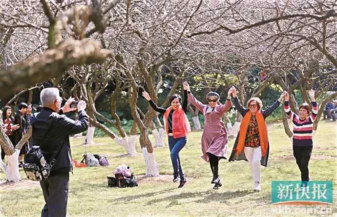 2026萝岗香雪文化季启幕