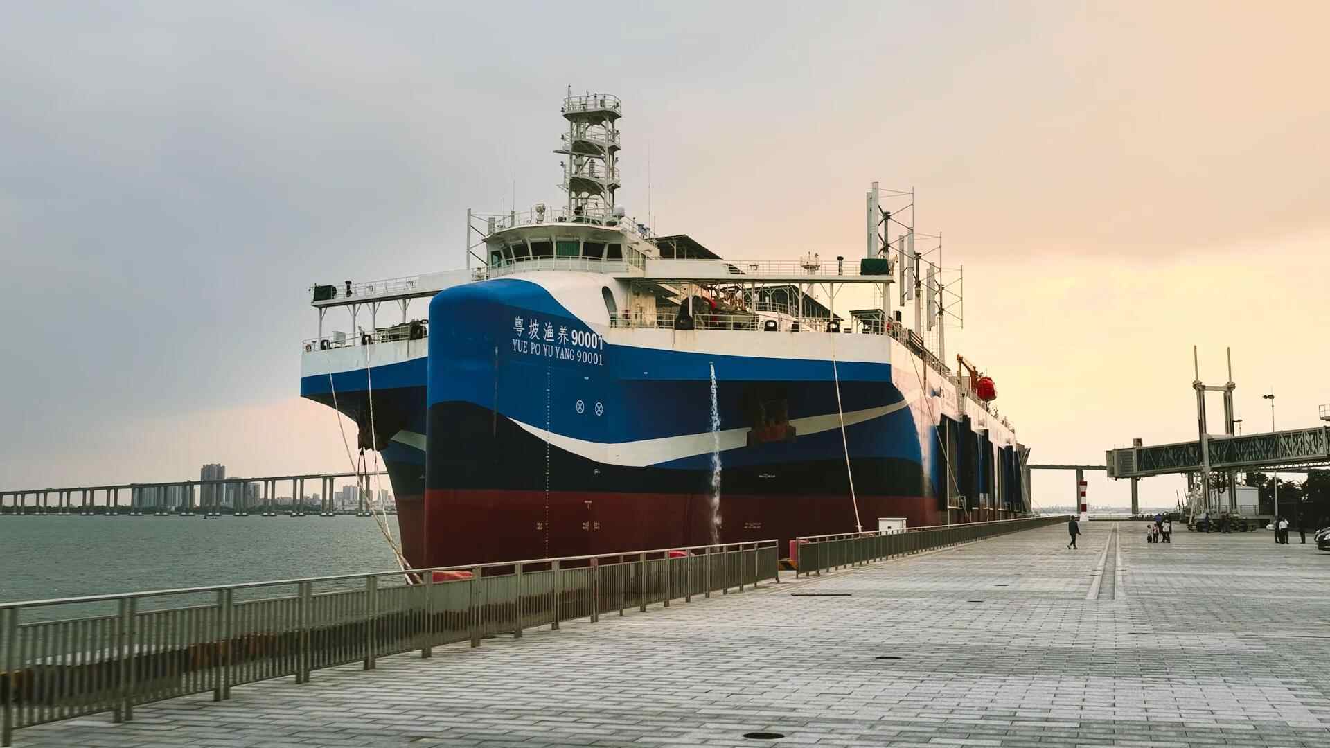 熊猫体育从一只生蚝看见广东的“蓝色家底”(图1)