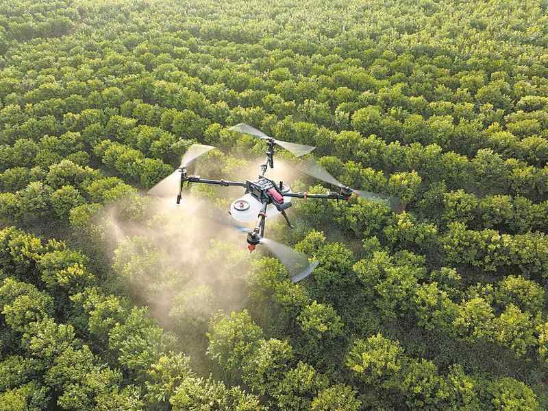 种下一粒希望的种子｜新年评论(图2)