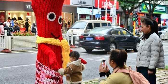  福州：行道树穿“毛衣”迎新年