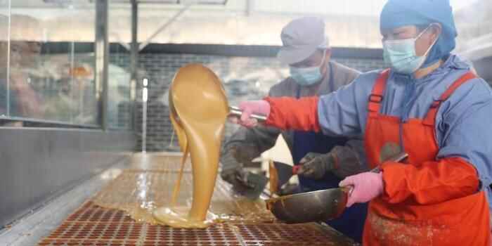  云南巧家迎来榨糖季