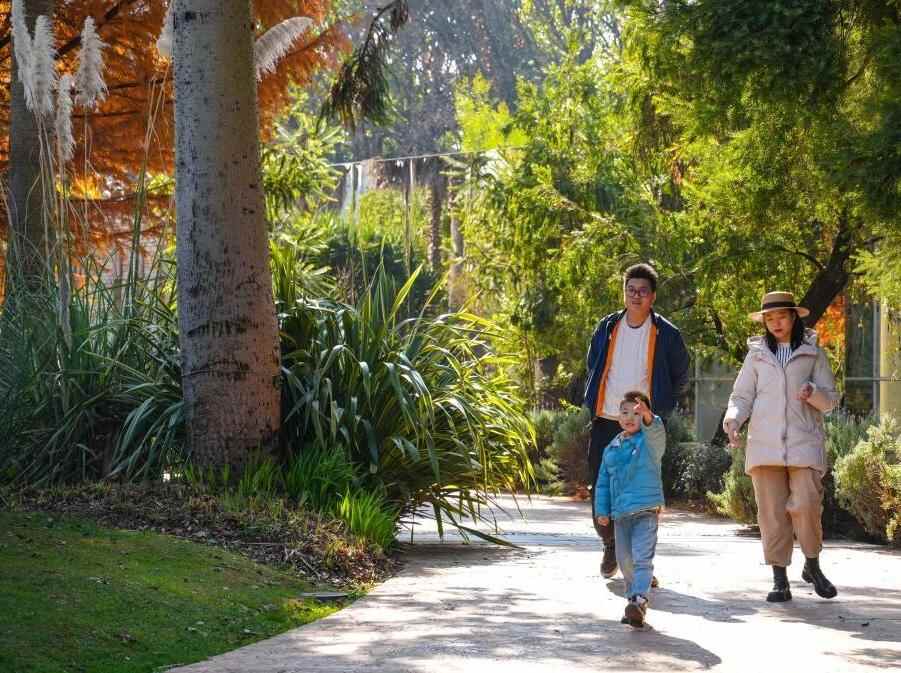 云南昆明：冬日绿意暖