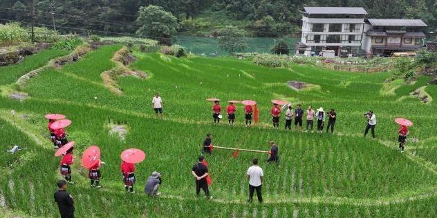 广西龙胜泗水欢庆红衣节 多彩民俗“嗨翻天”