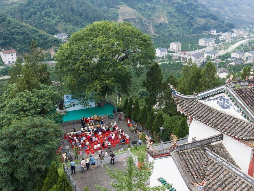 文化中国行丨湖北秭归：大山里的诗会