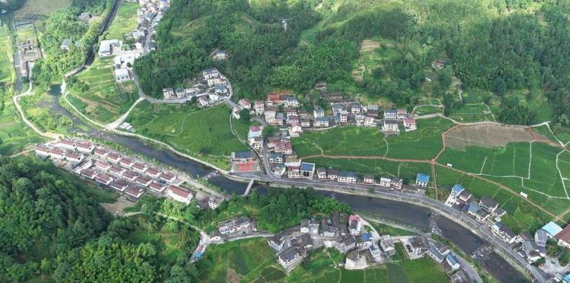 重庆秀山:青山伴茶园 乡村美如画