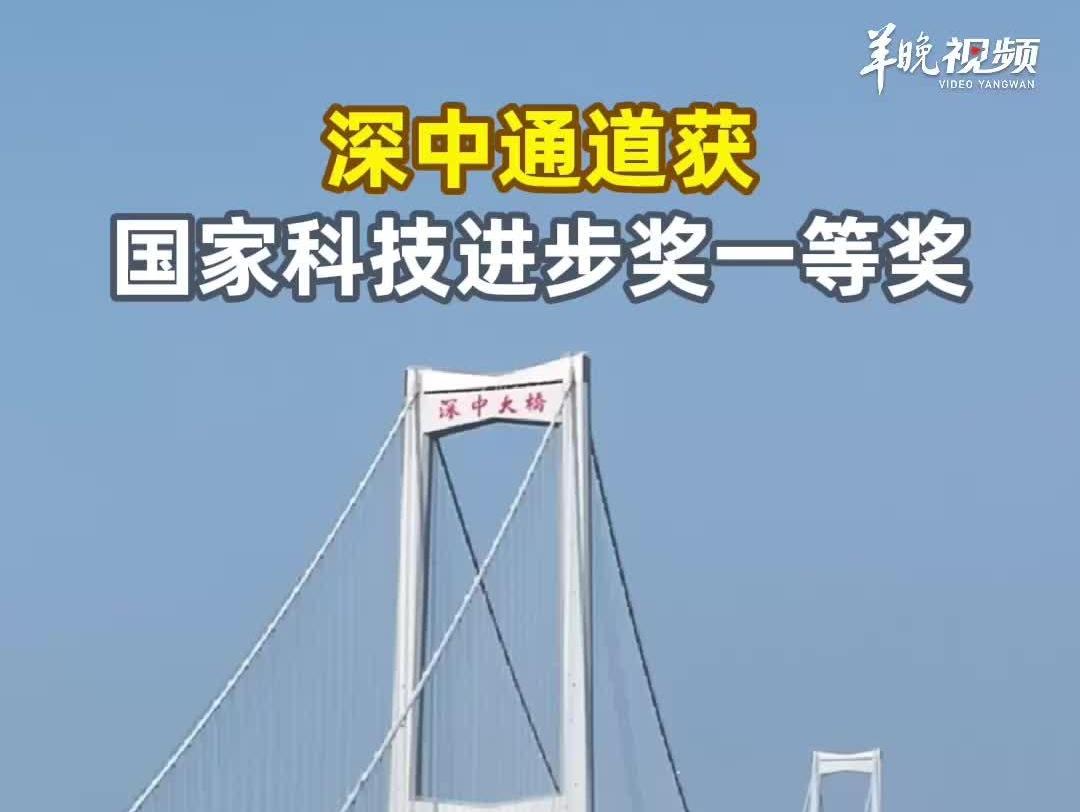 荣获国家科技进步奖一等奖!这项“广东造”从“全产业链空白”到改写世界纪录