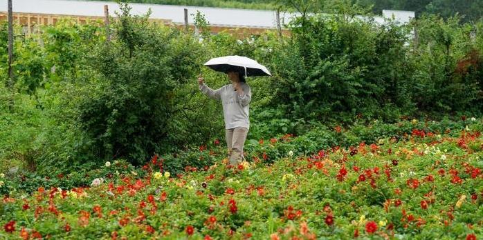 从“煤城空心村”到“文旅网红地” 鸡西鱼亮沟吃上“旅游饭”