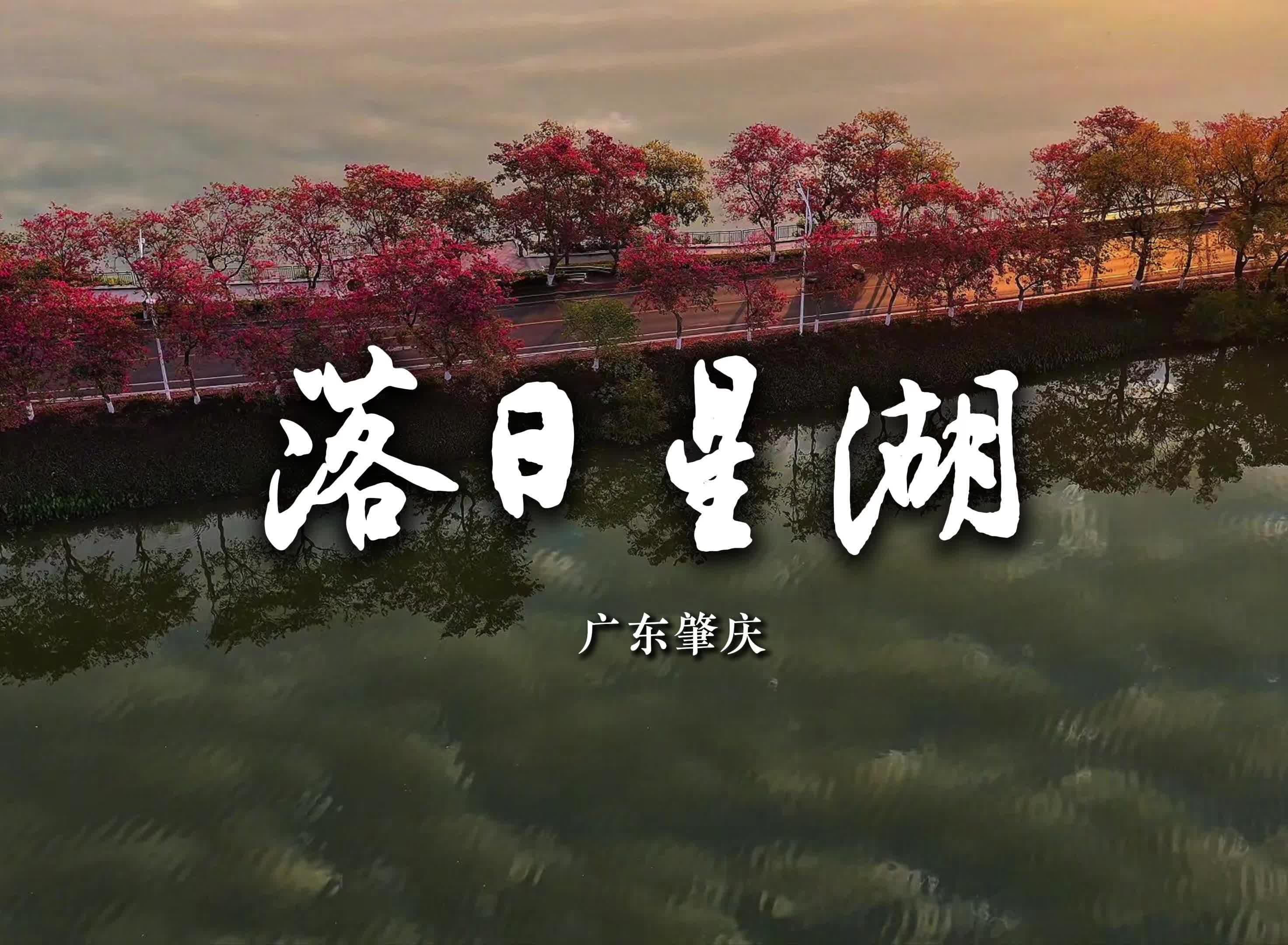 落日星湖 前路坦途 | 岭南行记