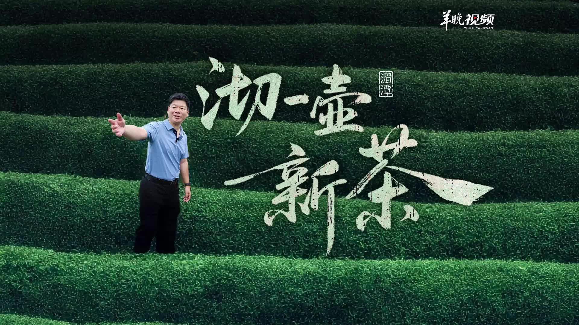 把湄潭茶泡进新茶饮 让百姓的日子有回甘