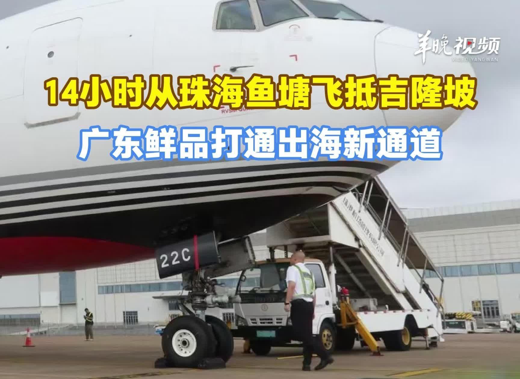  为了“鲜活”两字拼了！广东活鱼14小时从珠海鱼塘飞抵吉隆坡